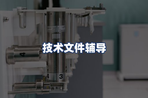 技术文件辅导