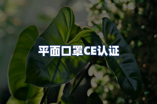 平面口罩CE认证