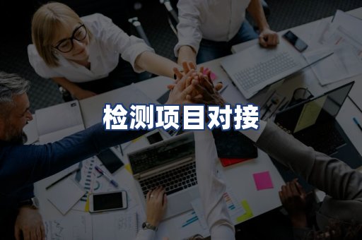 检测项目对接